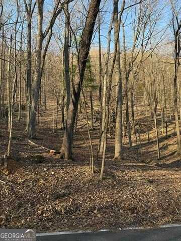 210 Windflower, Big Canoe, GA 30143