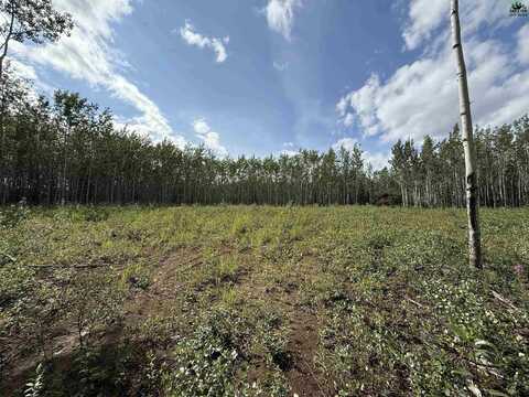 L6 STRAWBERRY ROAD, Delta Junction, AK 99737
