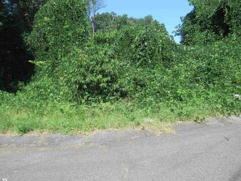 00 Old Schoolhouse Road, Norris, SC 29657