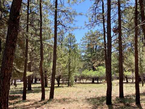 324 BEAR CUB DRIVE, Ridgway, CO 81432