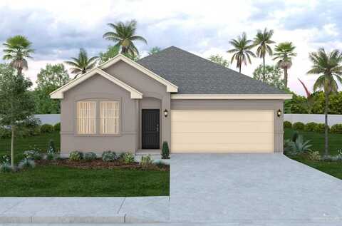 922 W Star Flower Street, Edinburg, TX 78541
