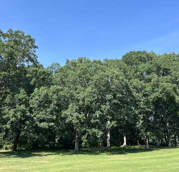 1 Lilac Lane, Grand Beach, MI 49117