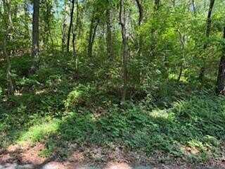 2 Lilac Lane, Grand Beach, MI 49117