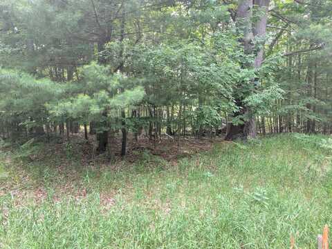 V/L Tamarack Road, Ludington, MI 49431