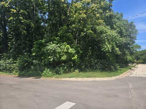 Pine, Stevensville, MI 49127