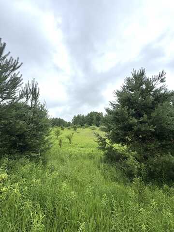 00 Hewitt, Tustin, MI 49688