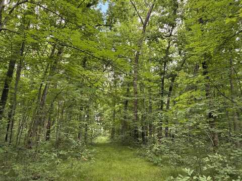 8934 E 48th Street, Newaygo, MI 49337