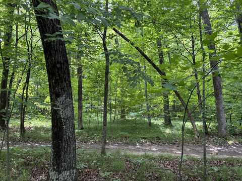 8934 E 48th Street, Newaygo, MI 49337
