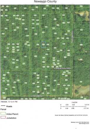 0 Ferris Avenue, Bitely, MI 49309