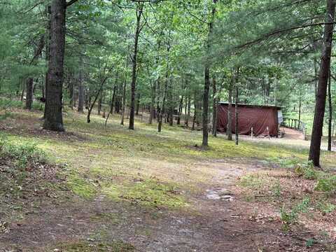 Columbine, Baldwin, MI 49304
