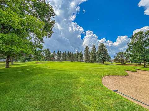 7443 Ryans Run, Canadian Lakes, MI 49346