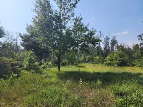 0 Stitt Lane, Mio, MI 48647