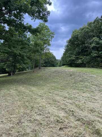 000 Vin Villa, Forsyth, MO 65653