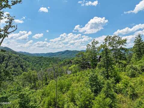 Lot 24 Coopers Hawk Way, Sevierville, TN 37862