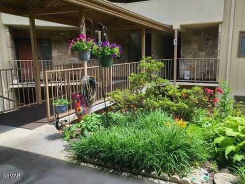 224 Woodland Rd Road, Gatlinburg, TN 37738