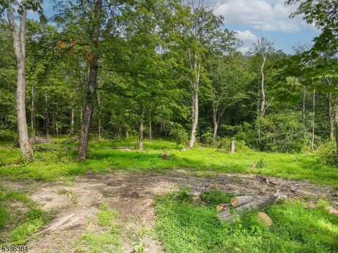 Florence Ln, Andover, NJ 07860