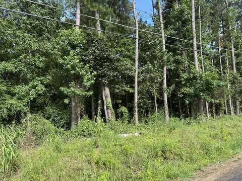 Cheryl Dr, Columbus, MS 39702
