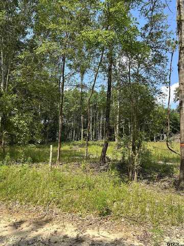 642 Loop 343, Rusk, TX 75785