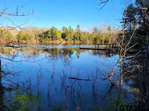 20420 County Road 444, Lindale, TX 75771