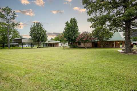 715 RS County Road 3030, Emory, TX 75440