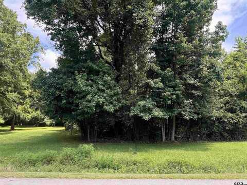 11017 Lost Ridge, Whitehouse, TX 75791