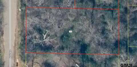 509 N Hill Ave, Tyler, TX 75702