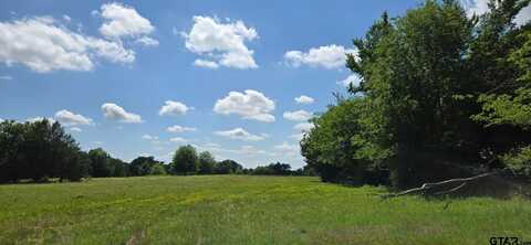 12077 County Road 1200, Malakoff, TX 75148