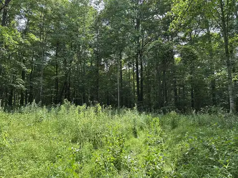 Molly Road, Crawley, WV 24931