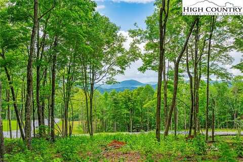 Lot 24 Poplar Forest Drive, Boone, NC 28607