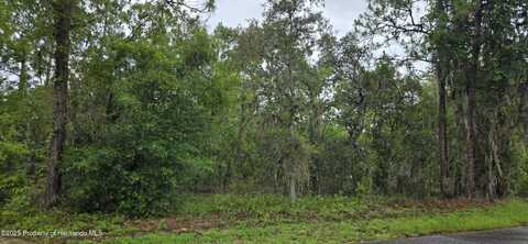 1308 N Prospect Avenue, Lecanto, FL 34461