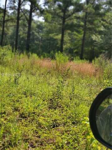 Firetower Road, Ridgeland, SC 29936