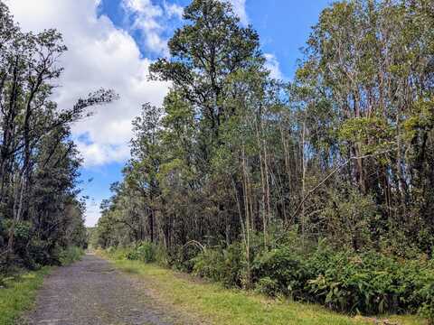 11-1854 MIKANA ST, Mountain View, HI 96771