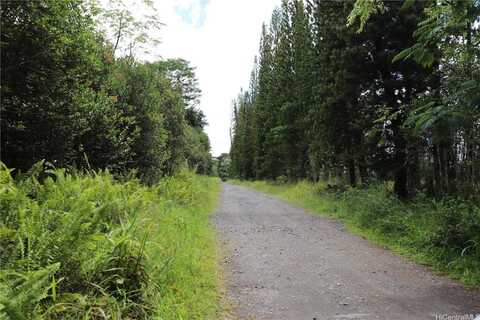 17-4531 SOUTH RD, Kurtistown, HI 96760