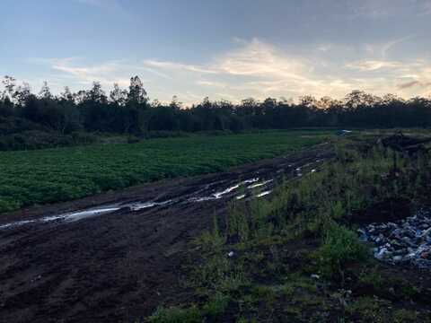 18-3931 KOPUA RD, Volcano, HI 96785