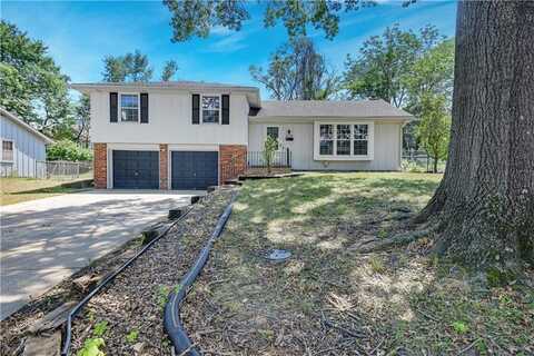 809 E 110th Street, Kansas City, MO 64131