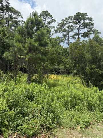 1015 Meridian Drive, Sneads Ferry, NC 28460
