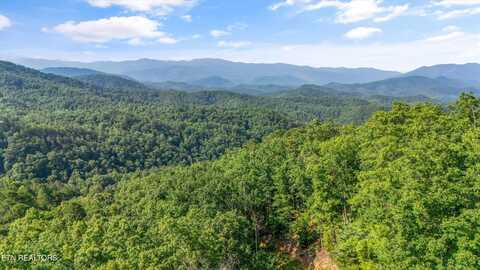 1017 Big Buck Tr, Townsend, TN 37882