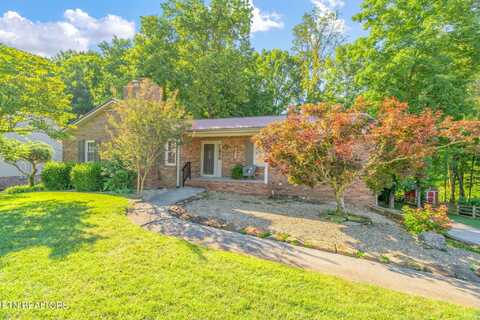 8100 Bell Campground Rd, Powell, TN 37849