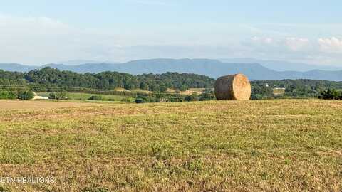 Lot 13 Summerset Dr, Talbott, TN 37877