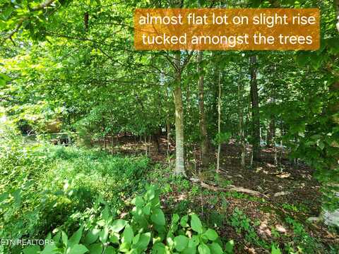 122 Golanvyi Tr, Vonore, TN 37885
