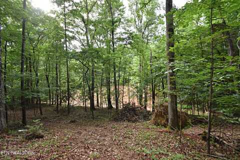 0 Early Rd, Knoxville, TN 37922