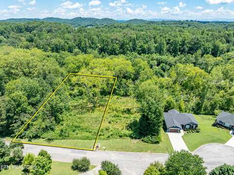 2916 Split Oak Drive, Knoxville, TN 37920