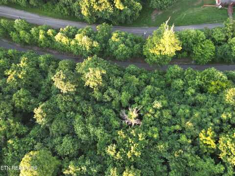 Eagles Cove Pkwy, Maynardville, TN 37807