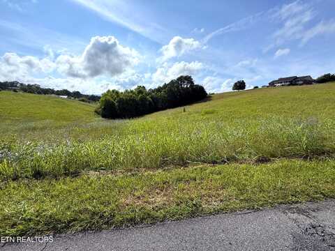 Lots 17-18 English Mtn Rd, Newport, TN 37821