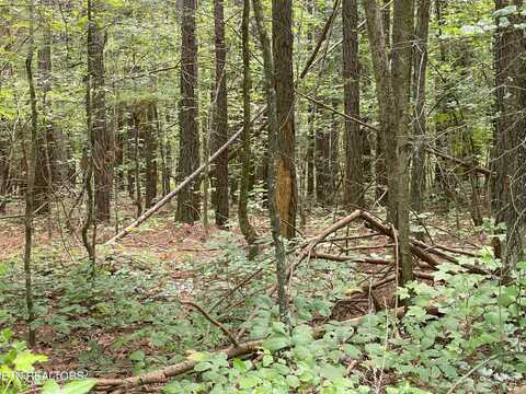 5.02 Acres County Road 285, Niota, TN 37826