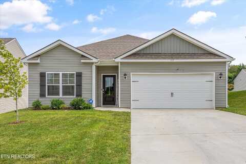113 Kaley Lane, Lenoir City, TN 37771