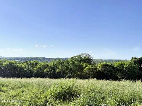 Lot 4 Stone Lane, Maryville, TN 37801