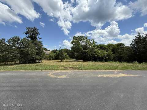 135 Itawa Tr, Vonore, TN 37885