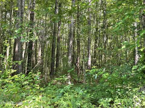 5.01 Acres County Road 285, Niota, TN 37826