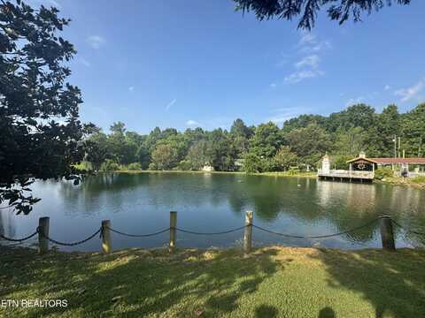 123 Jerry Cardin Lane, Friendsville, TN 37737